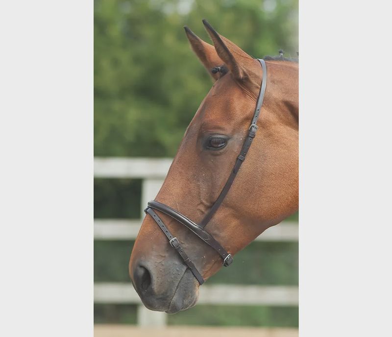 Velociti GARA Raised Flash Noseband
