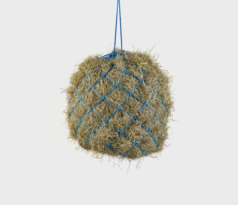 Standard Haynet With Rings