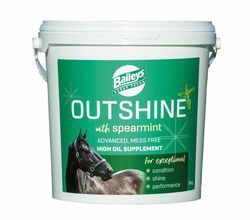 Outshine - Spearmint - 5kg
