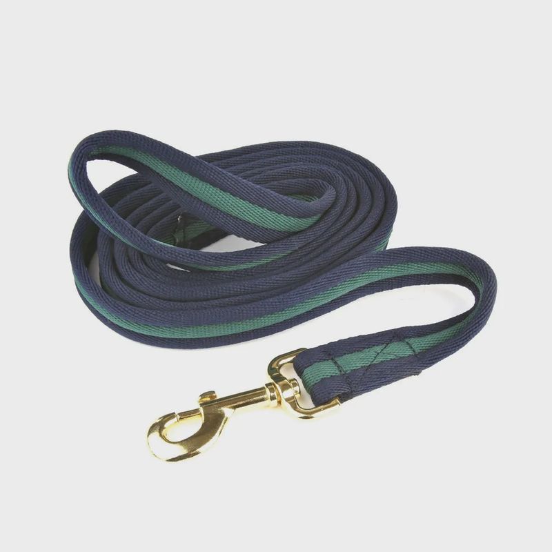 Soft Webbing Lead Rein - 2m