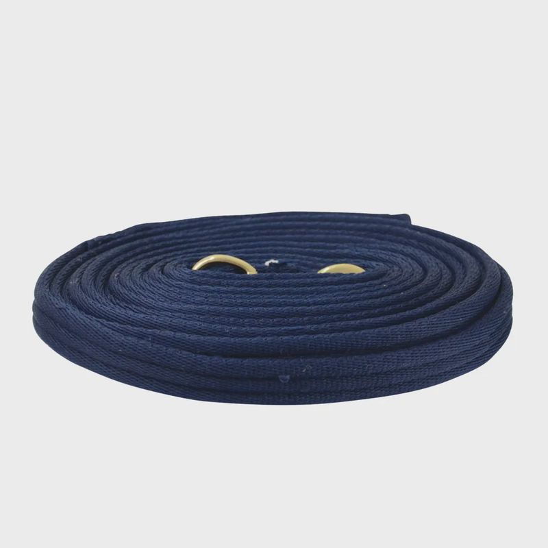 Soft Webbing Lunge Rein
