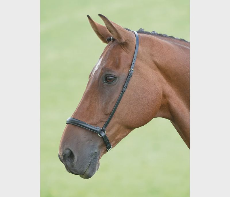 Leather Drop Noseband