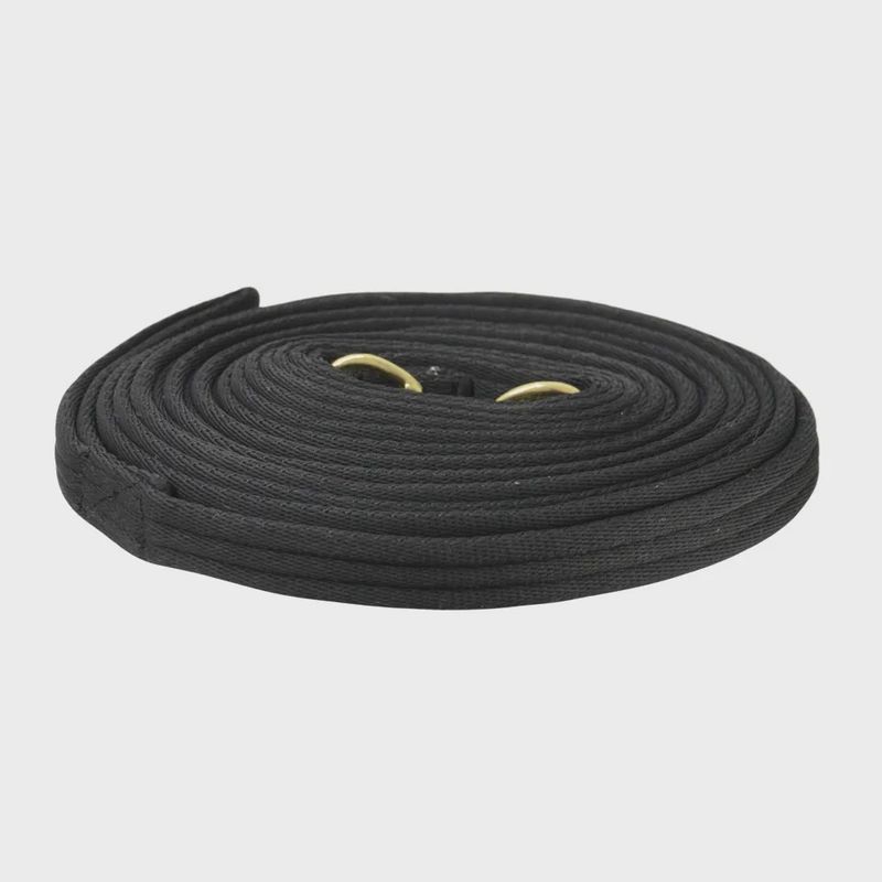 Soft Webbing Lunge Rein