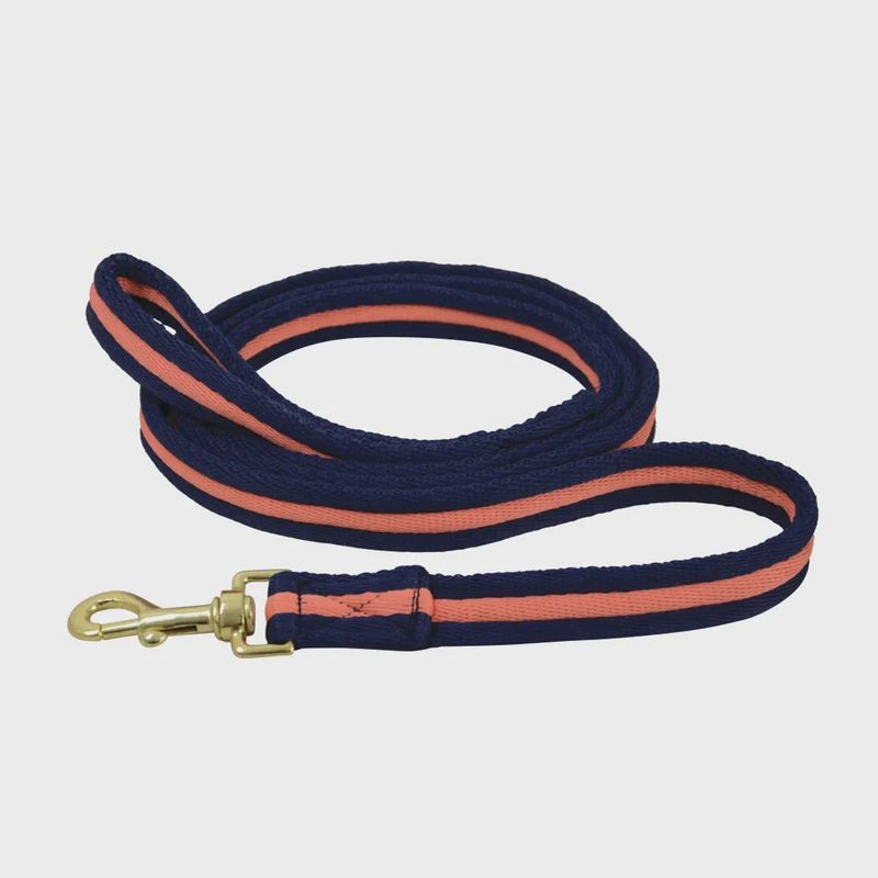 Soft Webbing Lead Rein - 2m