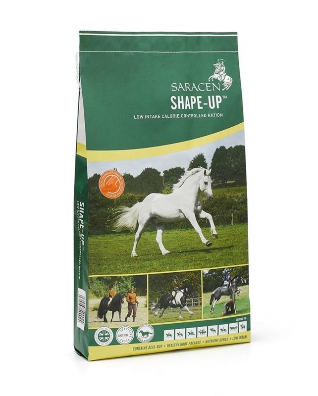 Shape Up - Saracens - 20kg