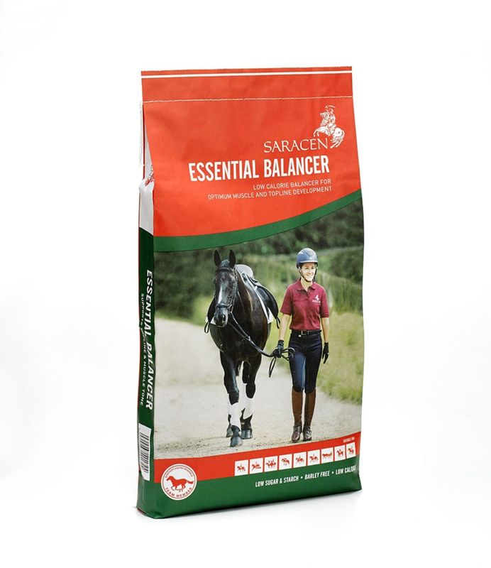 Essential Balancer - Saracens - 20kg