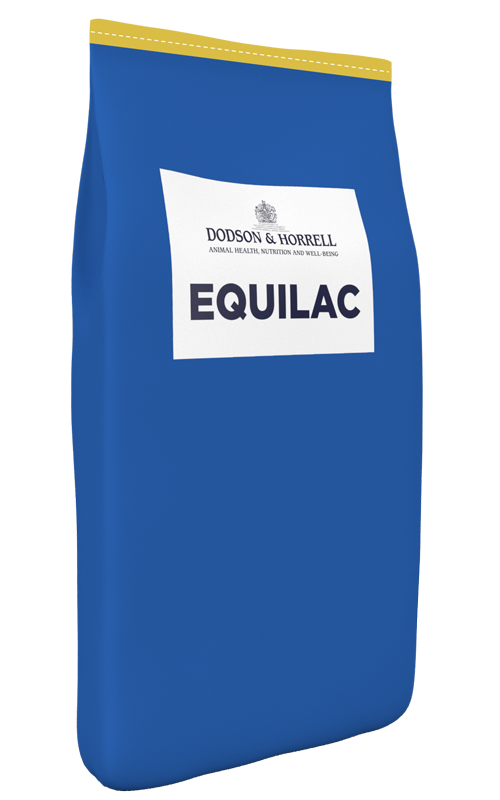 Equilac Mares Milk Replacer - 10kg