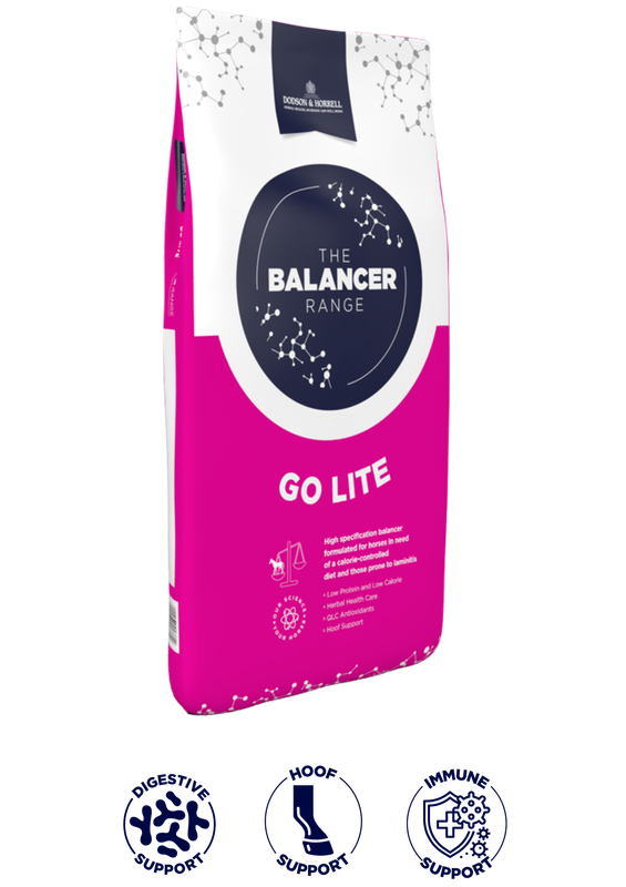 Go Lite Balancer  - Dodson &amp; Horrell