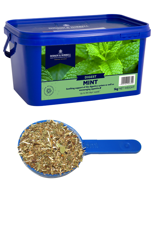 Mint - D&amp;H - 1kg