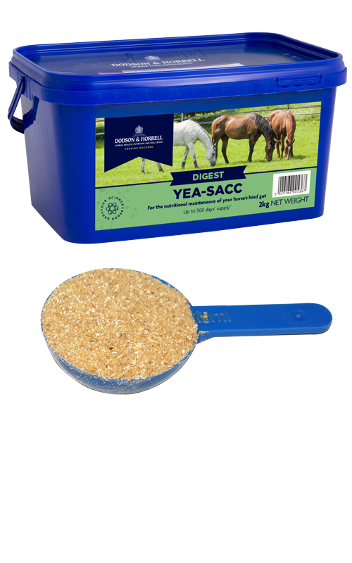 Yea Sacc - D&amp;H - 2kg
