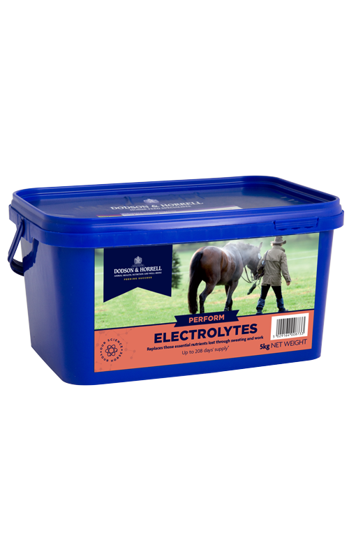 Electrolytes - D&amp;H - 2kg