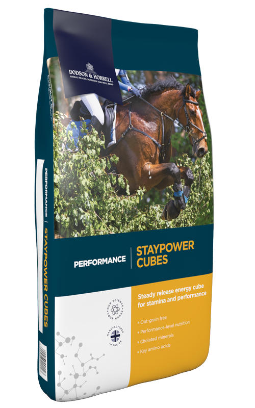Staypower Cubes - Dodson &amp; Horrell - 20kg