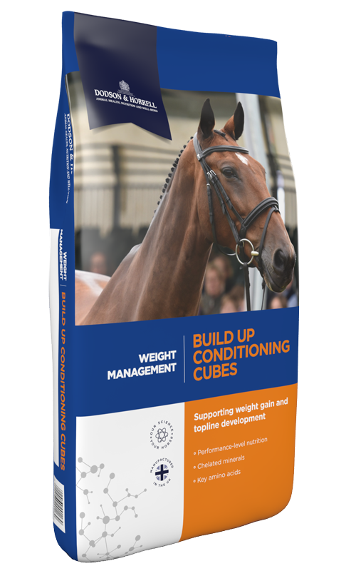 Build Up Conditioning Cubes - Dodson &amp; Horrell - 20kg