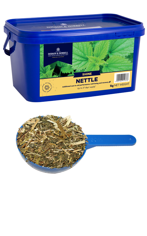Nettle - 1kg