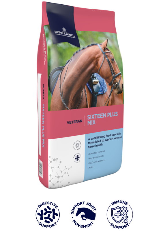 Sixteen Plus Mix - Dodson &amp; Horrell - 20kg