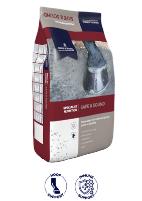 Safe &amp; Sound - Dodson &amp; Horrell - 18kg