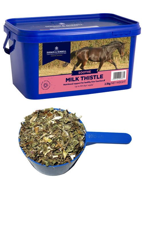 Milk Thistle - 500g