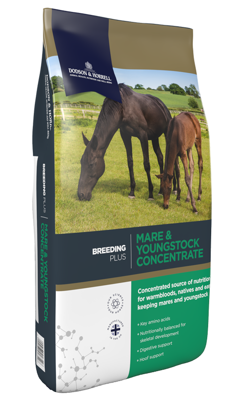 Mare &amp; Youngstock Concentrate - Dodson &amp; Horrell - 20kg