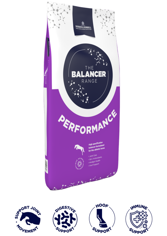 Performance Balancer - Dodson &amp; Horrell - 15kg