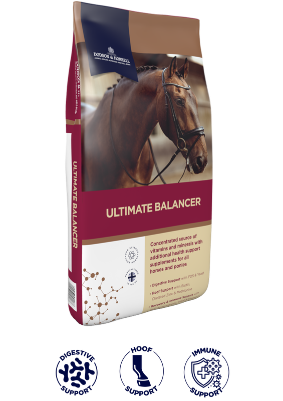 Ultimate Balancer - Dodson &amp; Horrell - 20kg