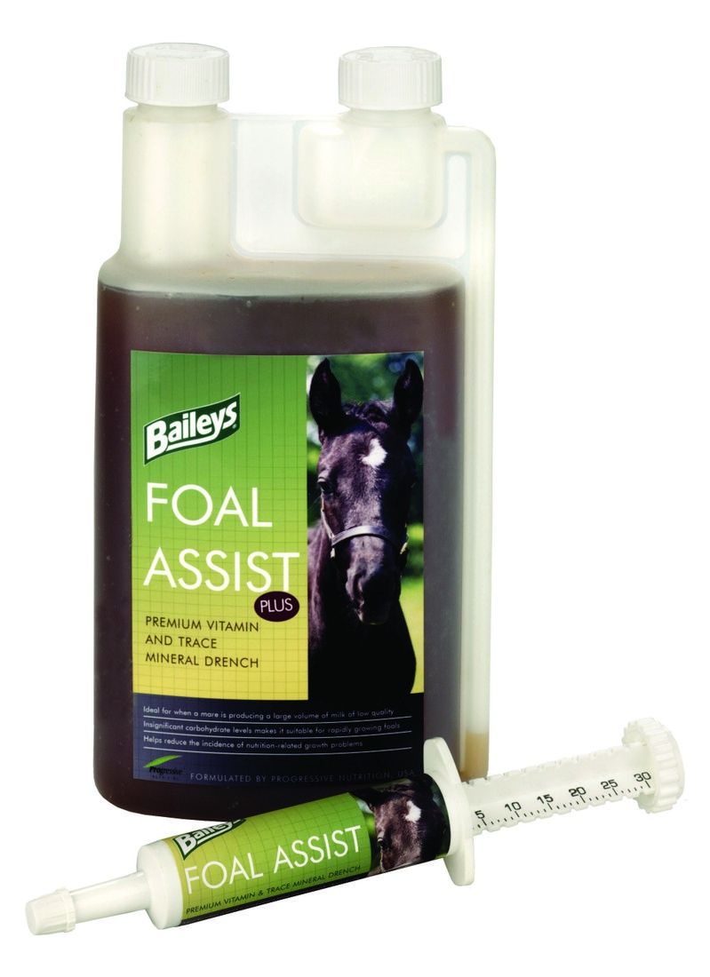 Baileys Foal Assist -  Syringe