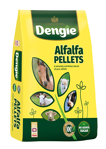 Alfalfa Pellets - Dengie - 20kg