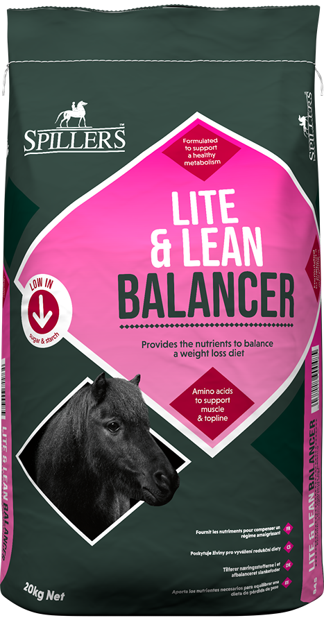 Lite &amp; Lean Balancer - Spillers - 20kg