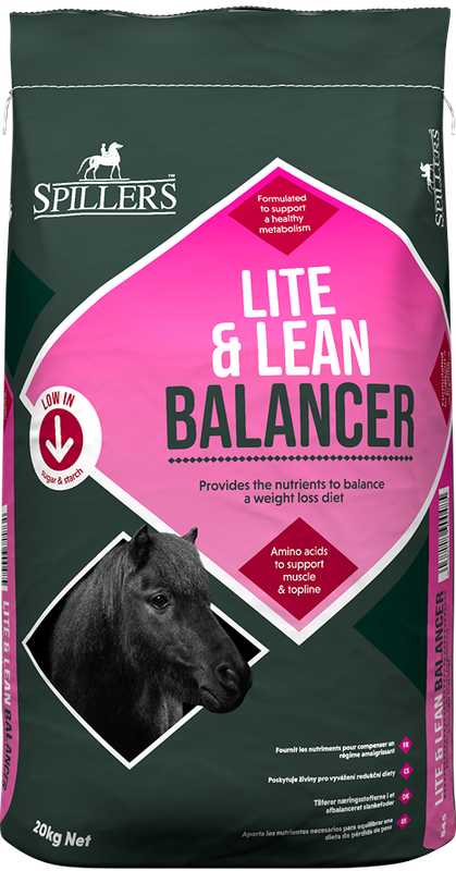 Lite &amp; Lean Balancer - Spillers - 20kg