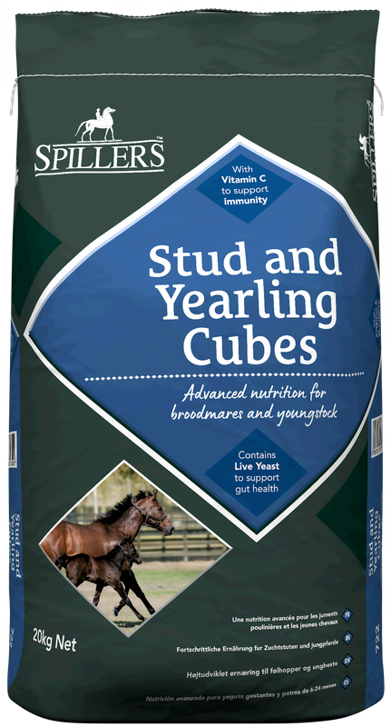 Stud &amp; Yearling Cubes - Spillers - 20kg