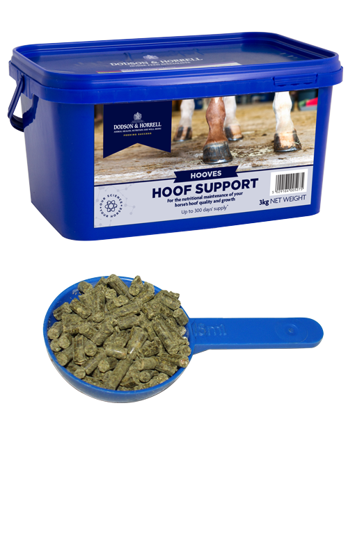 Hoof Support Supplement
