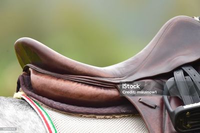 Saddlery