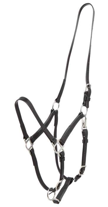 Deluxe Endurance Halter