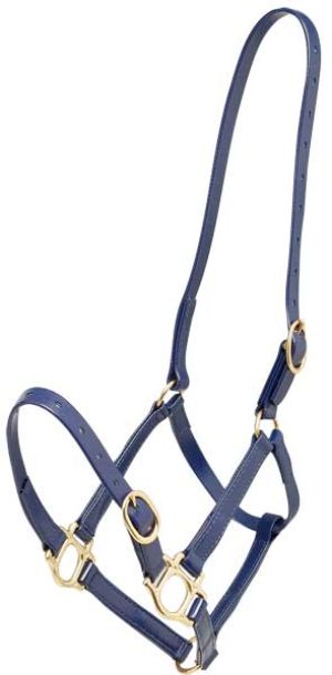 Zilco 19mm PN Headstall, Colour: Blue, Size: Pony