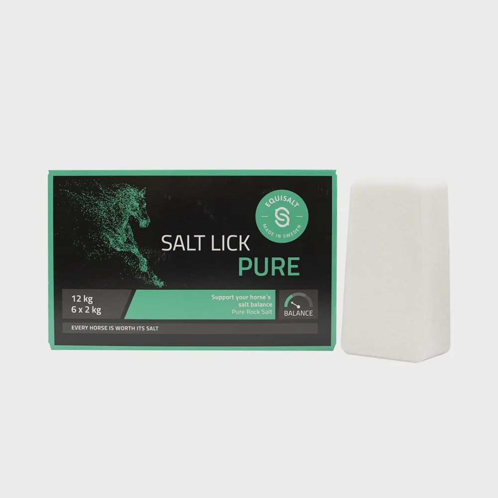 Equisalt Salt Brick Lick - Box of 6