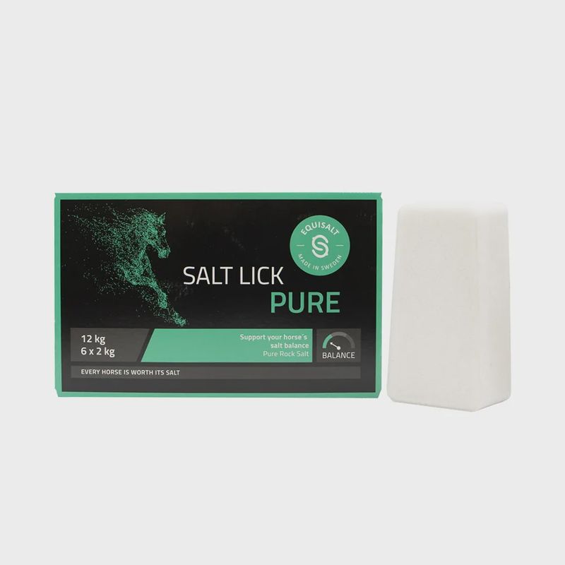 Equisalt Salt Brick Lick - Box of 6