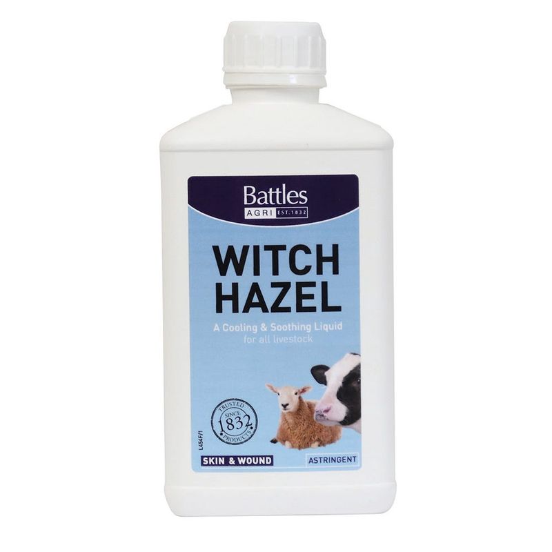 Witch Hazel