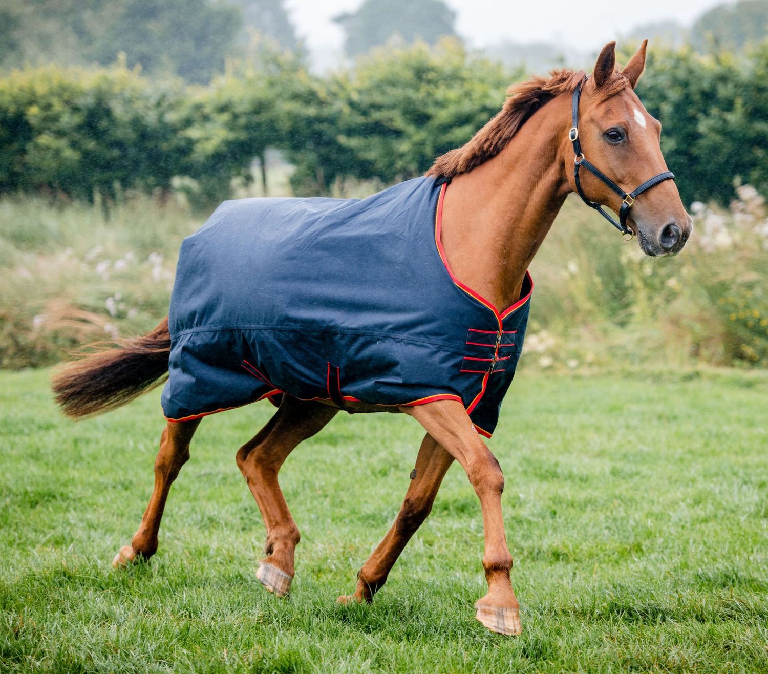 Equi-Sential Standard Medium Turnout