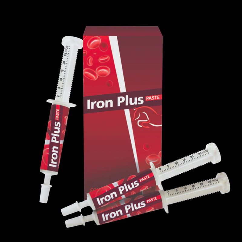 Iron Plus Paste - 6 x 30ml