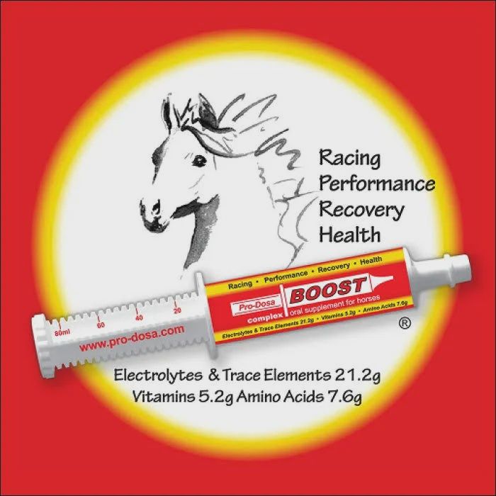 Pro-dosa Boost - Syringe