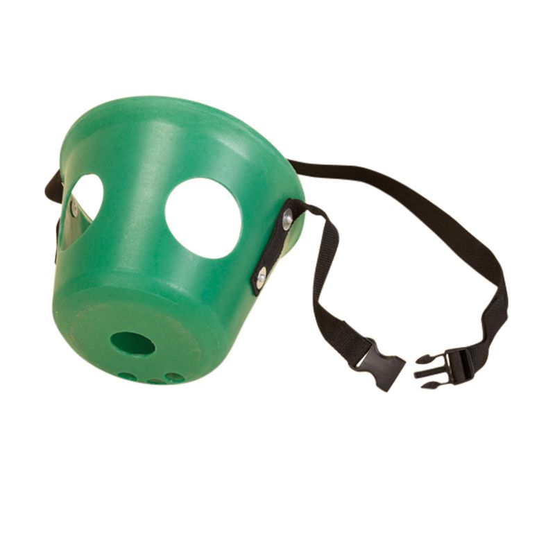Grazer Muzzle - Green