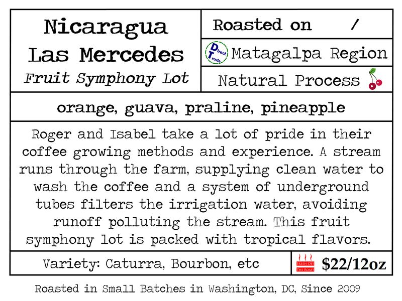 Nicaragua Las Mercedes Fruit Symphony