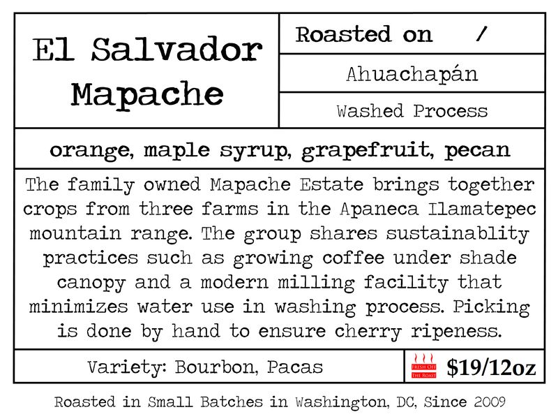 El Salvador Mapache