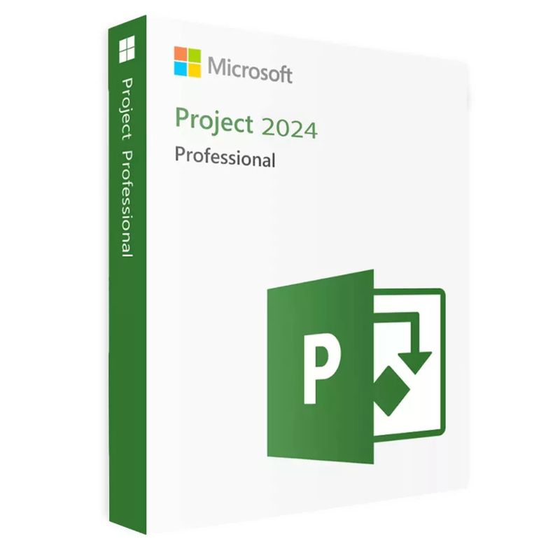 Microsoft Project 2024 Professional