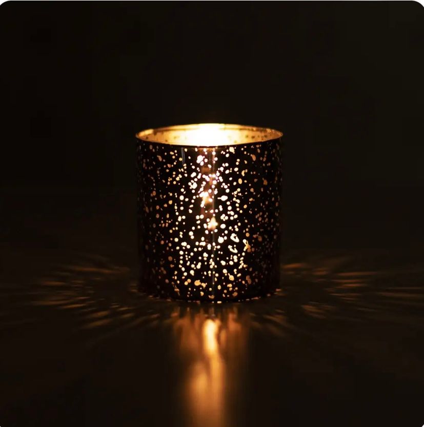 Sunlit Juniper 11oz Soy Candle