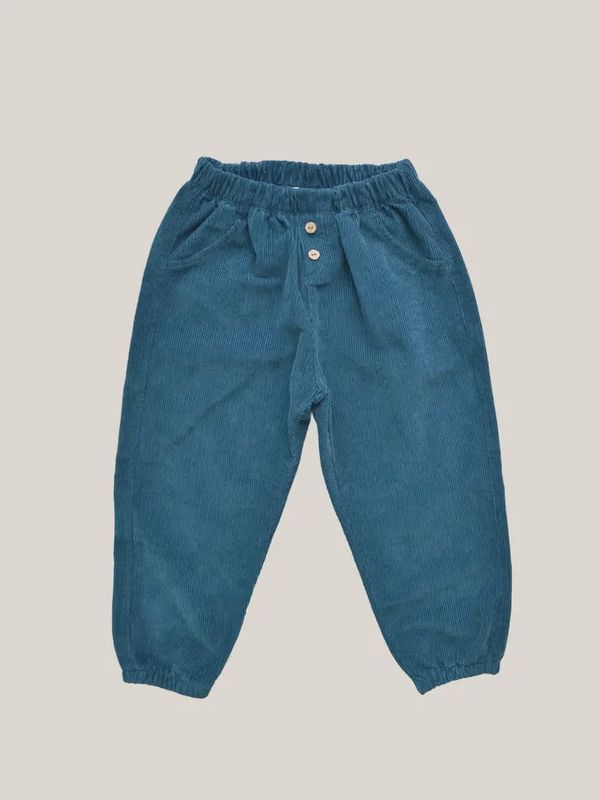 Blue Corduroy Pants 0-3M