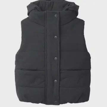 Hooded Puffer Vest