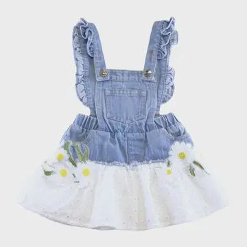 Denim Dress Daisies, Size: 4T