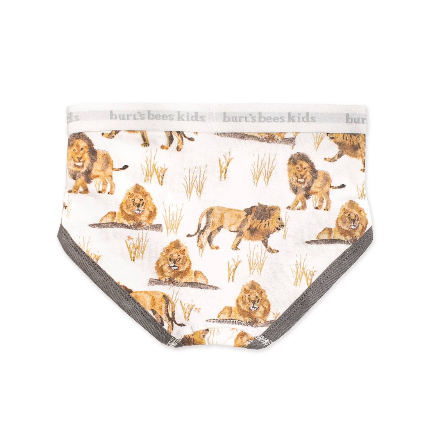 Boys Set of 5 Happy Herbivores &amp; Lions Underwear