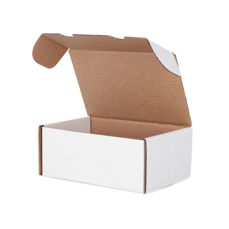 BCW Graded Trading Card Box