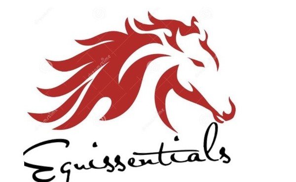 Equissentials